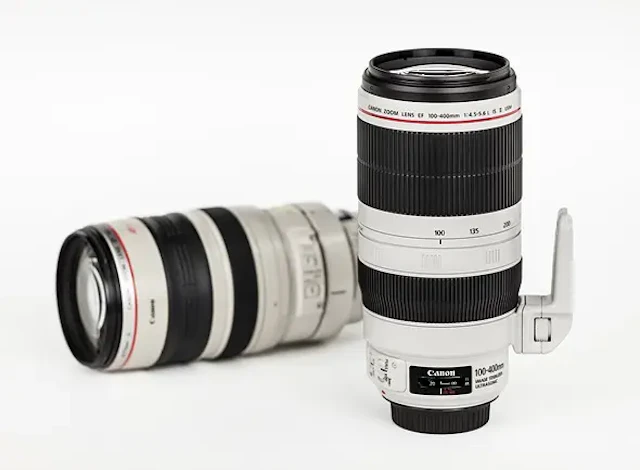2026年版】EF 100-400mm F4.5-5.6L IS II USMのレビュー比較まとめ